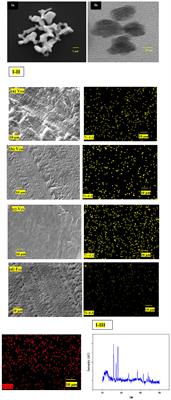Roles of Size, Shape, Amount, and Functionalization of Nanoparticles of Titania in Controlling the Tribo-Performance of UHMWPE Composites